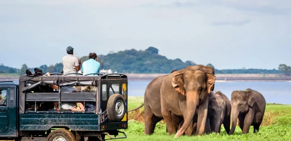 Udawalawe National Park