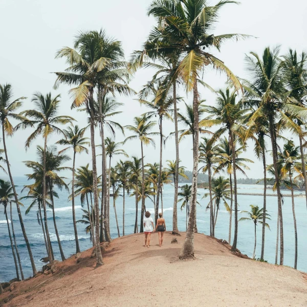 Coconut Tree Hill Mirissa