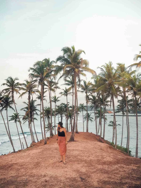 Coconut Tree Hill Mirissa