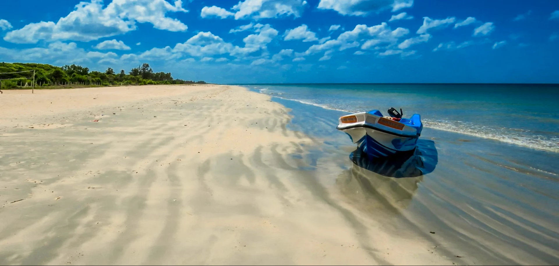 14 Days - Coastal Wonders - West & East Beaches, Cultural Treasures & Wildlife Adventure