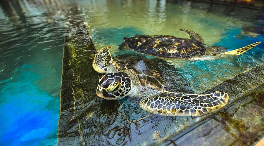 16 Days - Coastal Wonders - Southern Shores, Cultural Wonders, Hill Country & Wildlife Adventures